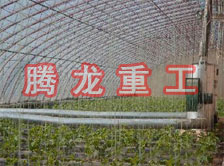 大棚花卉供暖設(shè)備、大棚卉采暖設(shè)備、大棚花卉取暖設(shè)備